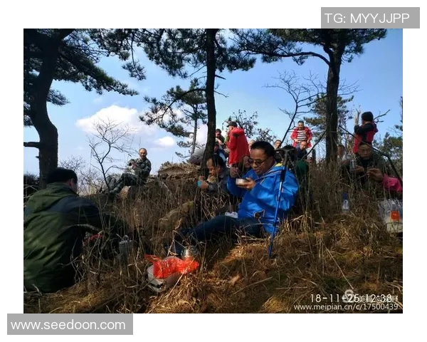 梅雷瑟VS对手的激烈较量揭示了竞技体育的无穷魅力与挑战